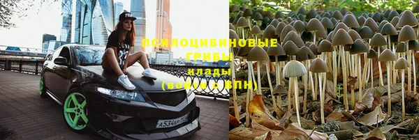 винт Богородск