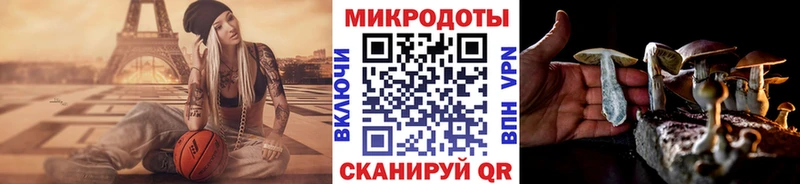 Галлюциногенные грибы Psilocybe  Кизляр 